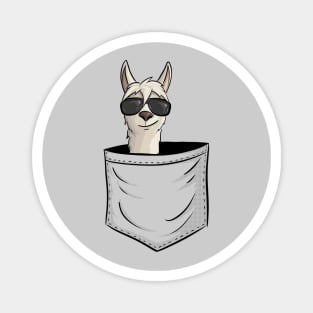 Casual Llama wit Sunglasses In Pocket Magnet